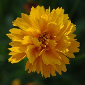 Meet your Posher, LA